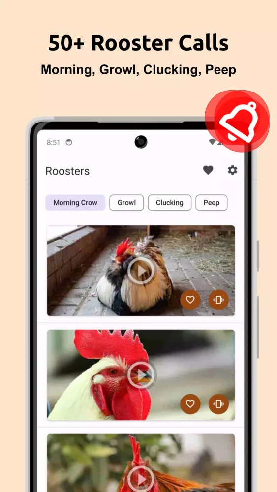 Rooster Sounds 스크린샷