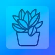 Plant Growing Digital System