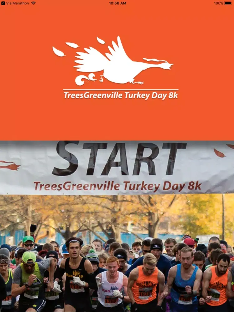 Ảnh chụp màn hình của TreesGreenvilleTurkeyDay8k5K iPad 