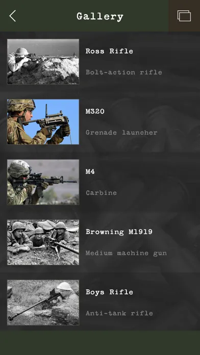 Ảnh chụp màn hình của Guess the Modern Firearm