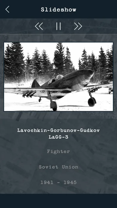 Screenshot di Guess the World War 2 Warplane