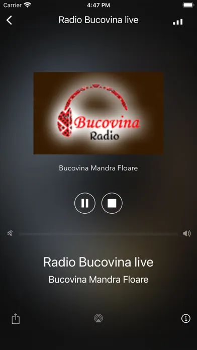 Radio Bucovina 스크린샷