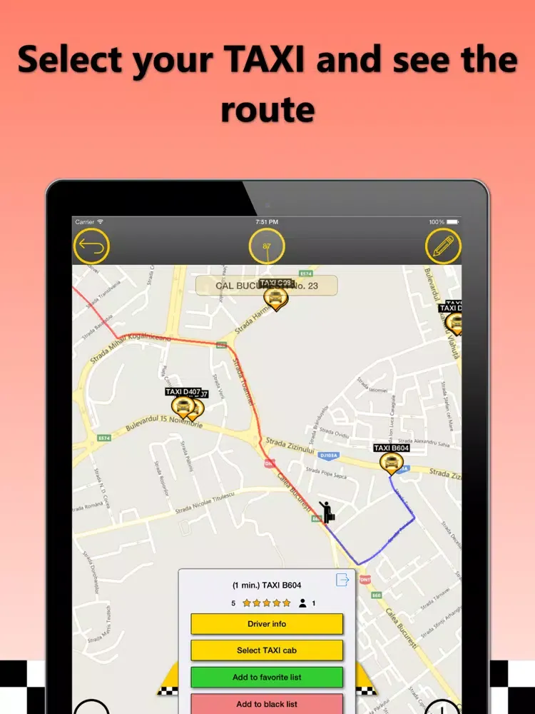 Online TAXI Resita iPad  Screenshots