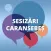 Sesizari Caransebes