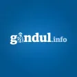 Gandul.info