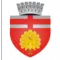 Botosani City Report
