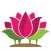 Florist: Fresh Flower Delivery