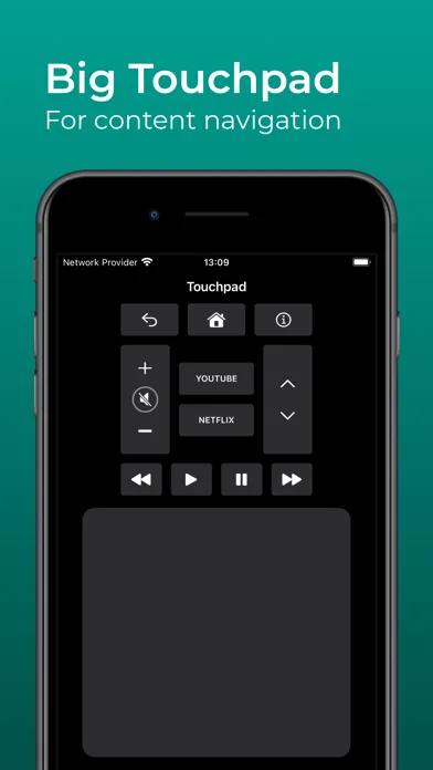 Hisenser: TV Remote应用截图