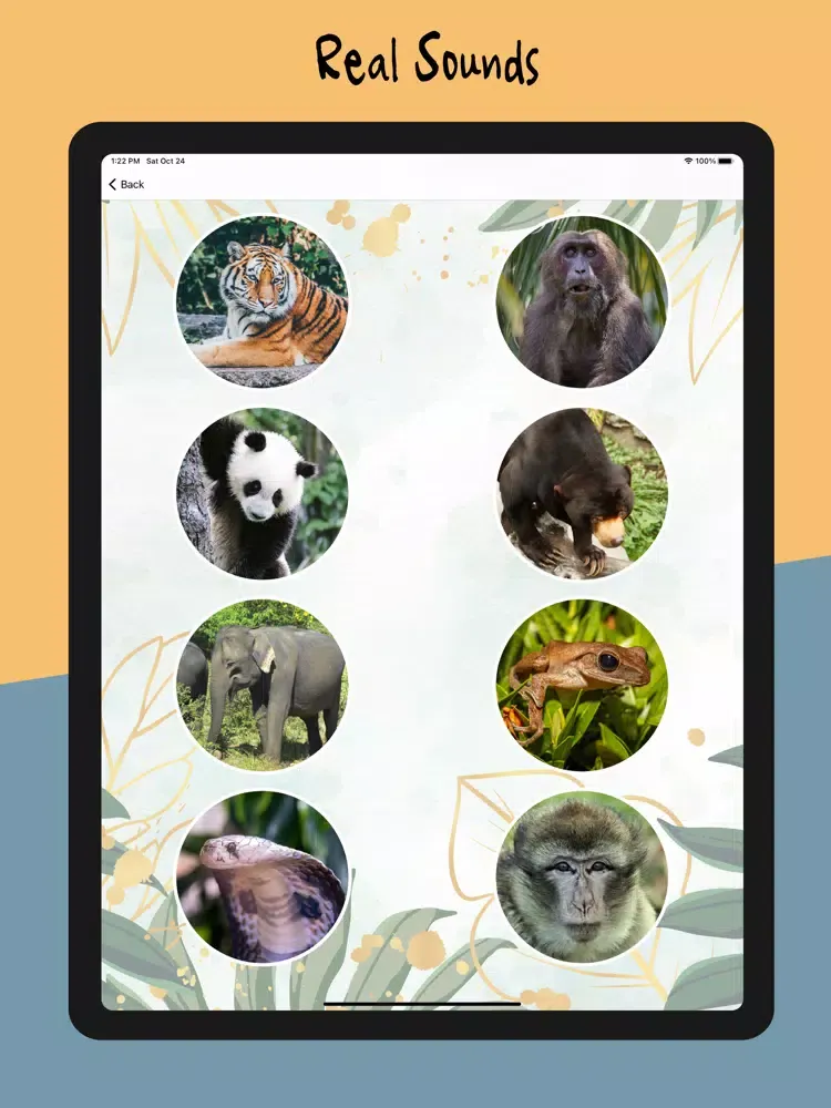 Animal Sounds - Nature Calls iPad 应用截图