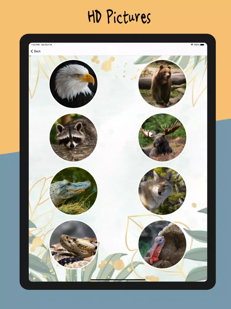 Animal Sounds - Nature Calls iPad 应用截图