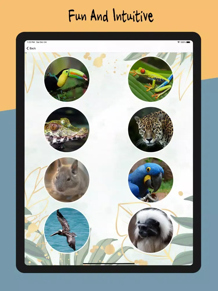 Animal Sounds - Nature Calls iPad 应用截图