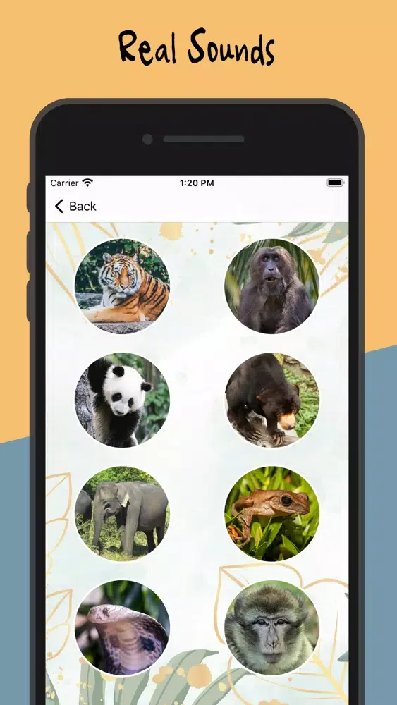 Animal Sounds - Nature Calls应用截图
