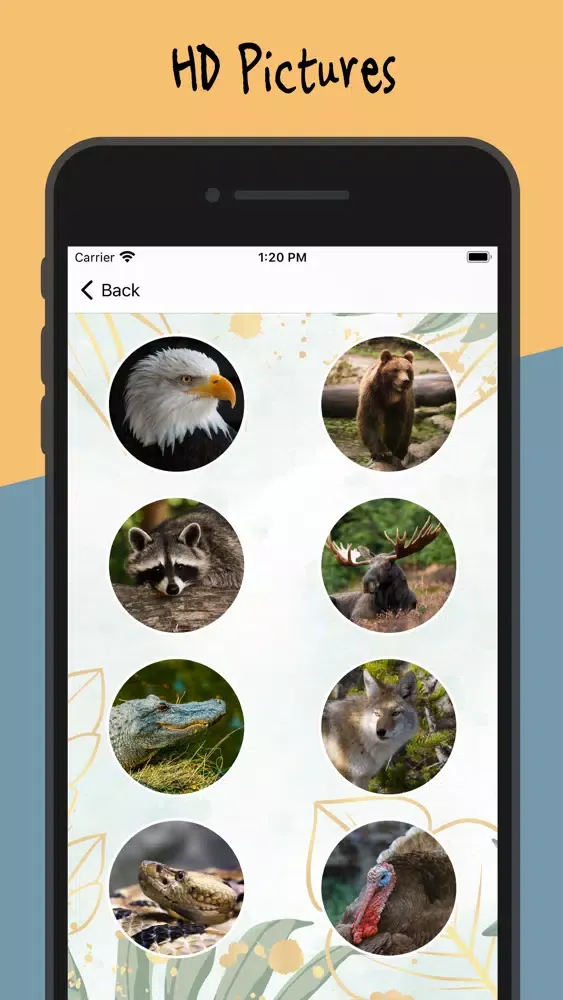 Animal Sounds - Nature Calls应用截图