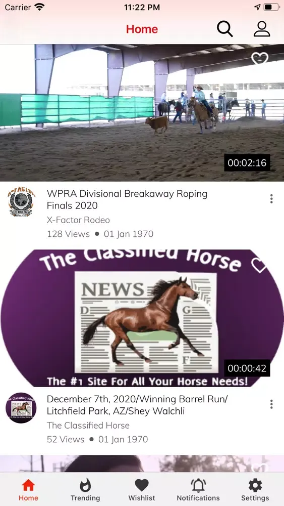 RodeoTube TV應用截圖