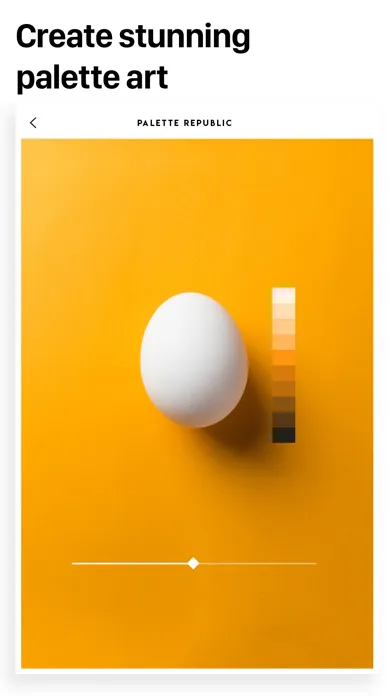 Ảnh chụp màn hình của Palette Republic