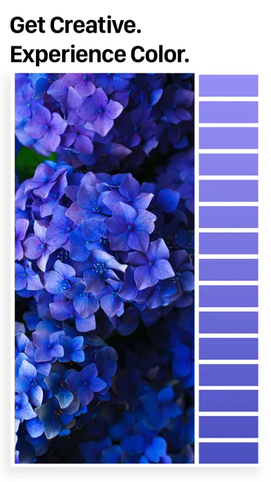 Ảnh chụp màn hình của Palette Republic