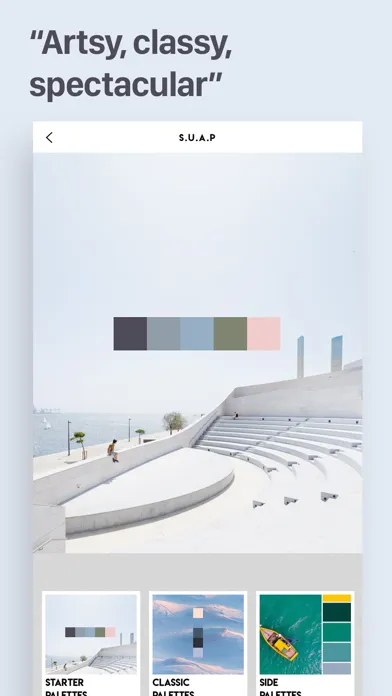 Ảnh chụp màn hình của Palette Republic