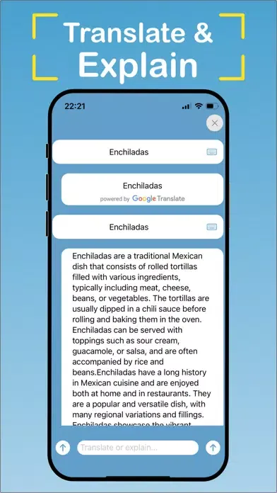 expLingo Translate and Explain应用截图