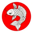 YOSHI SUSHI | Нижний Новгород YOSHI SUSHI | Нижний Новгород