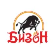 БИЗОН | Кострома