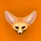 Fennec Fox