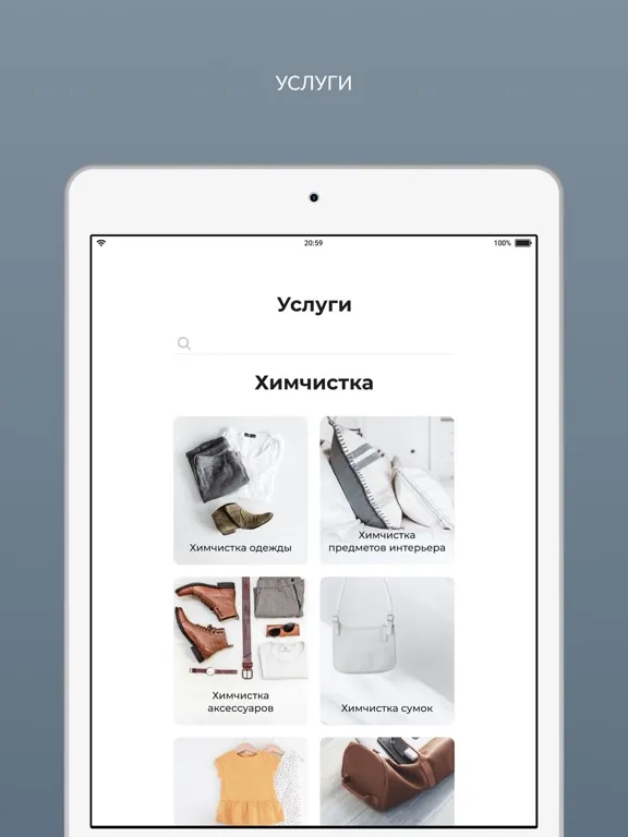 Химчистка AQUA iPad 应用截图