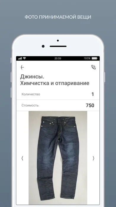 Tangkapan skrin Химчистка с доставкой Briony