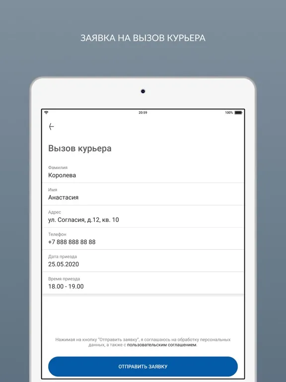 Химчистка Чистюля iPad 应用截图