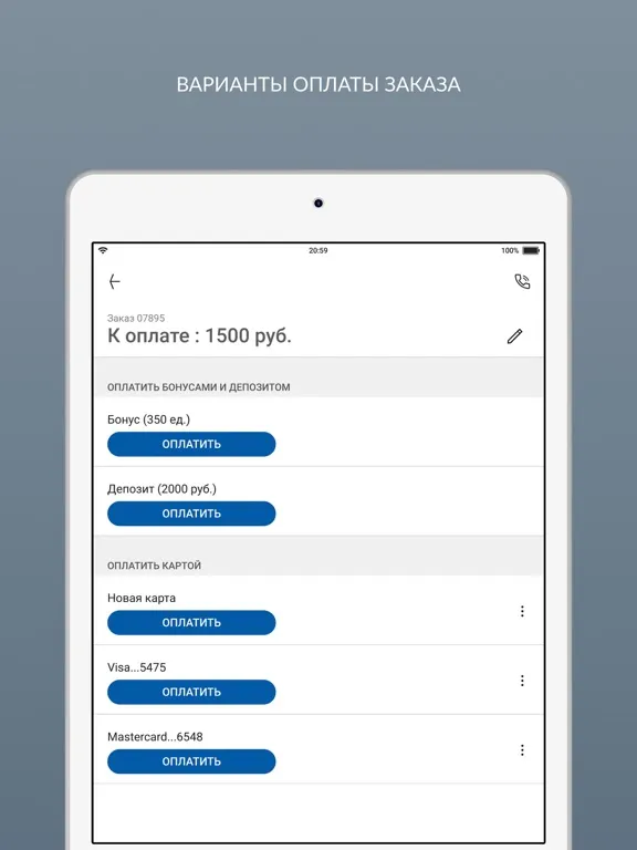 Химчистка Чистюля iPad 应用截图