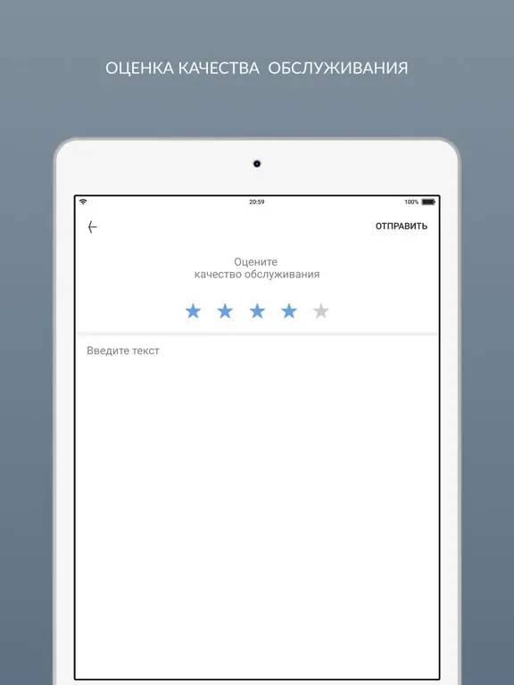 Tangkapan skrin Химчистка Кристалл iPad 