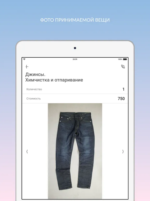Capturas de tela do Химчистка Долорес iPad 