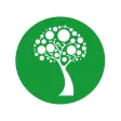 Химчистка Green City