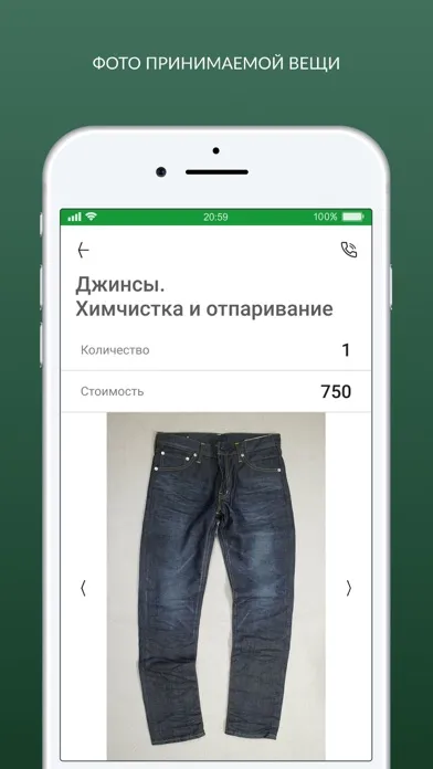 Captures d'écran de Химчистка Green City