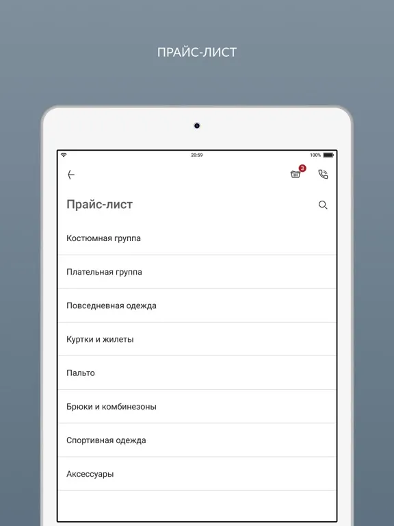 Tangkapan layar Мистер Чисто Химчистка iPad 
