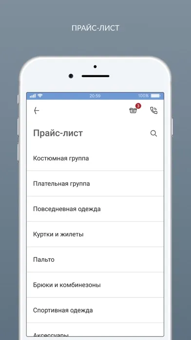 Tangkapan layar Мистер Чисто Химчистка