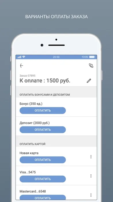 Tangkapan layar Мистер Чисто Химчистка
