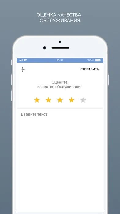 Tangkapan layar Мистер Чисто Химчистка