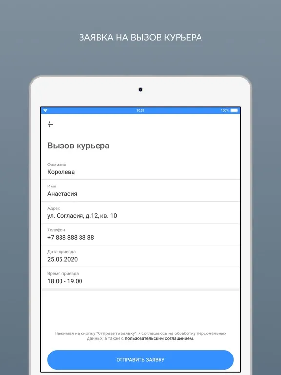 Capturas de tela do ОТ и ДО (химчистка/прачечная) iPad 