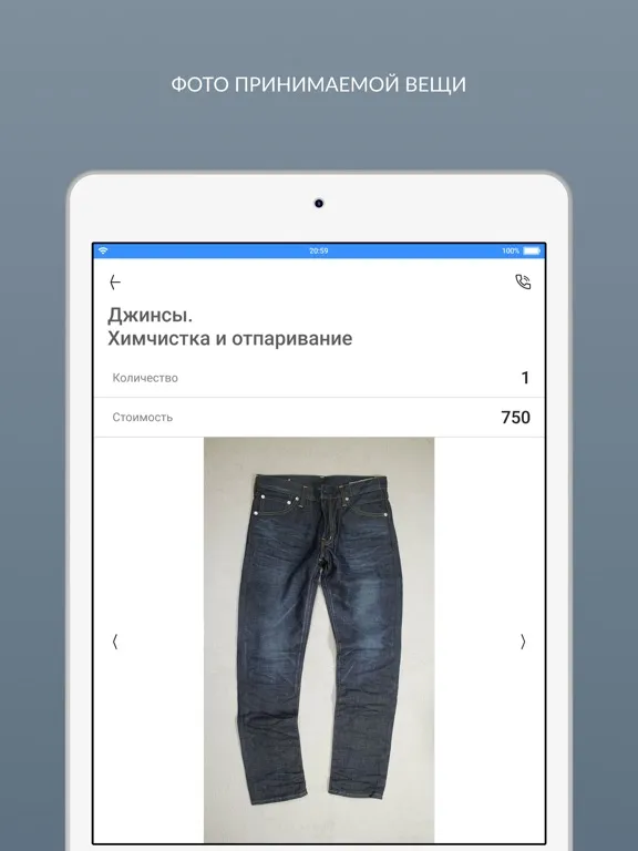 Capturas de tela do ОТ и ДО (химчистка/прачечная) iPad 