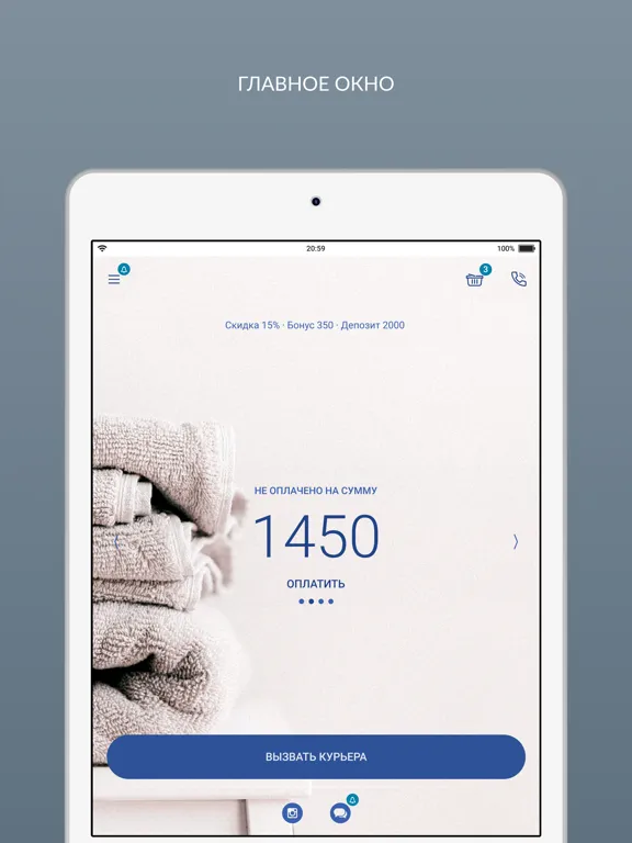 Скриншоты Самарская химчистка iPad 