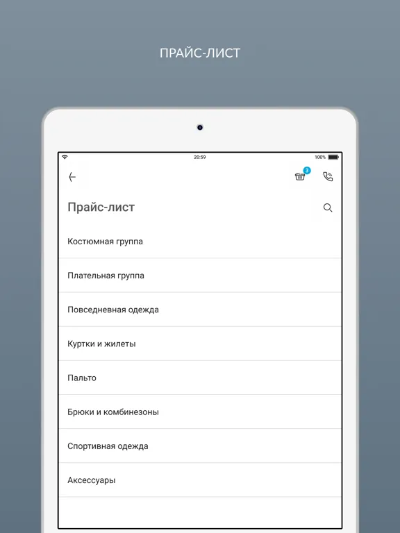 Скриншоты Самарская химчистка iPad 