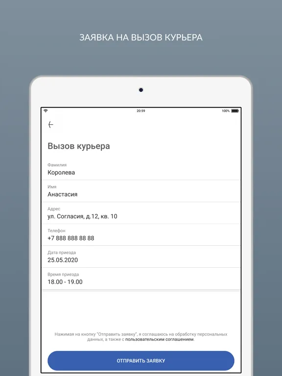 Скриншоты Самарская химчистка iPad 
