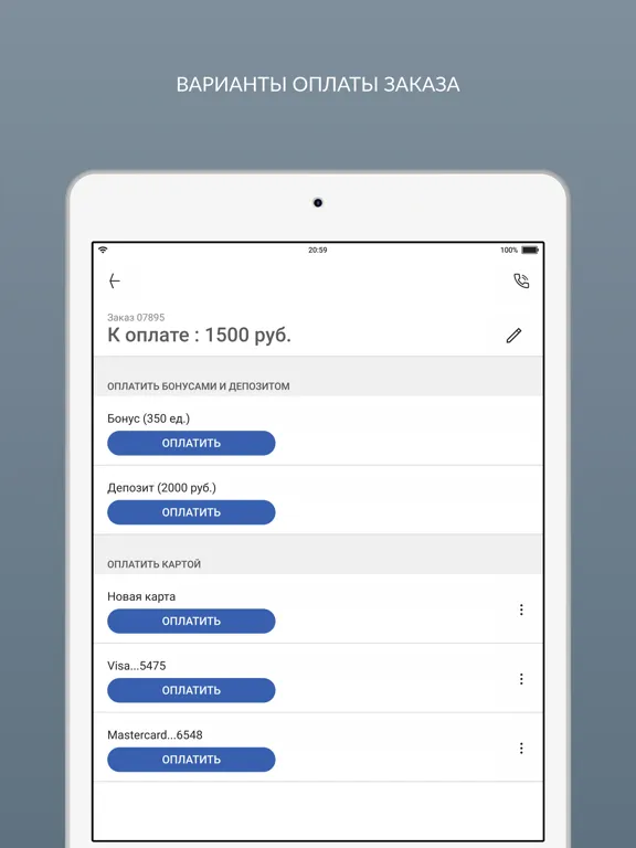 Скриншоты Самарская химчистка iPad 
