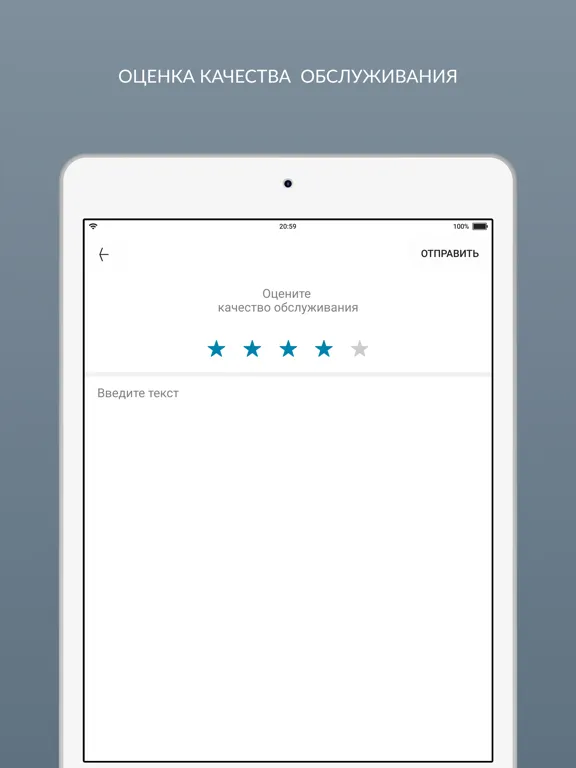 Скриншоты Самарская химчистка iPad 