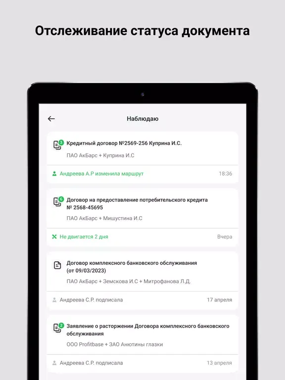 Ảnh chụp màn hình của AbbDoc iPad 