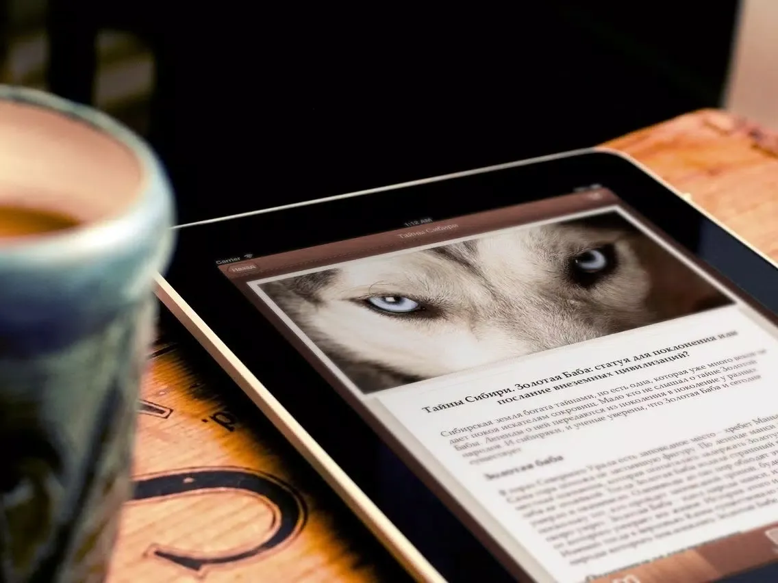 Книга знаний iPad 應用截圖