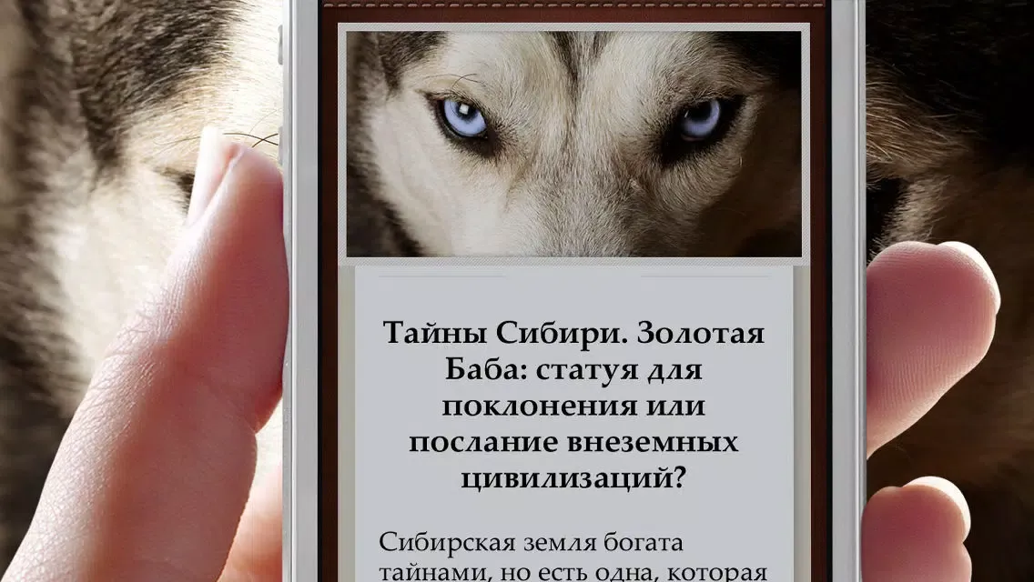 Книга знаний應用截圖