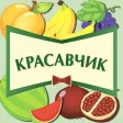 Красавчик