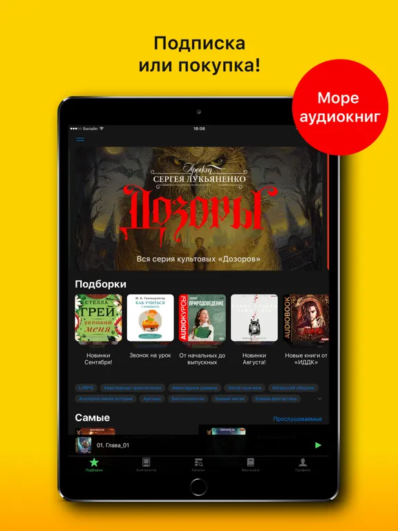 Аудиокниги слушать iPad  स्क्रीनशॉट