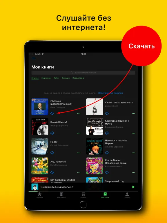 Аудиокниги слушать iPad  स्क्रीनशॉट